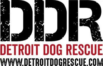 Detroitdogrescue Logo