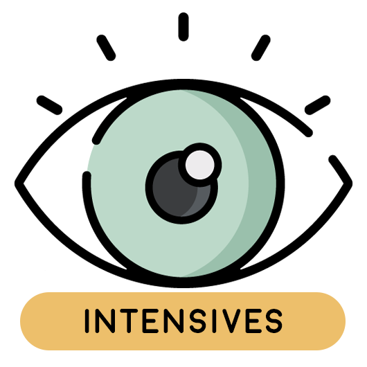 Emdr Intensive Services Icon Bsc