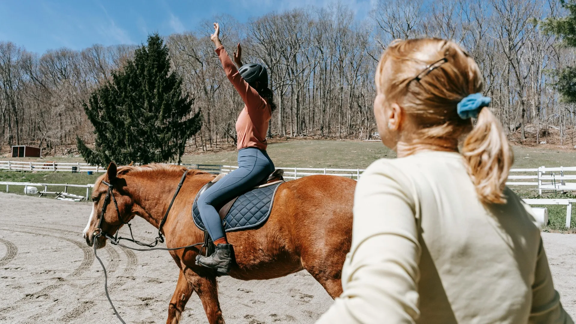 Emotional Support Animal Letters In Michigan