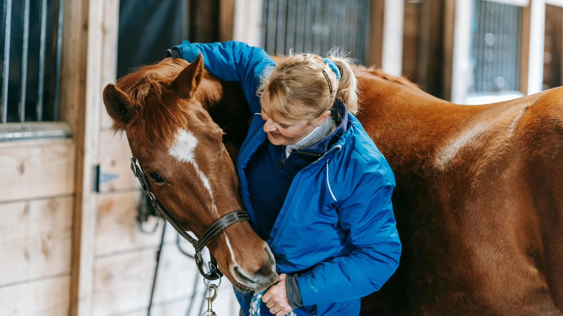 Equine Therapy At Bright Spot Counseling