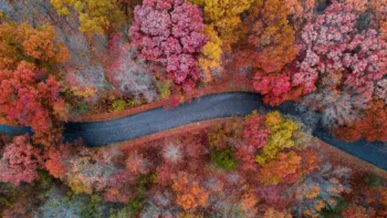 Keeping Your Chill Through The Mitten State Mood Swings