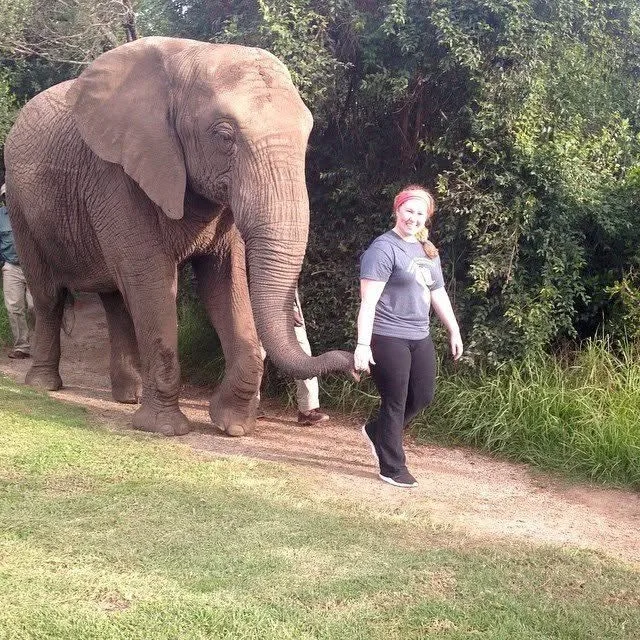 Sarah Petrofsky Leading Elephant