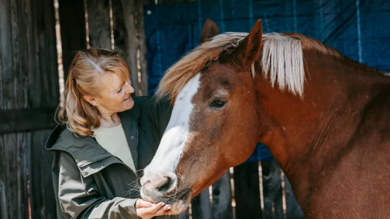 What Is Animal Assisted Therapy How It Helps Anxiety Trauma Emotional Regulation