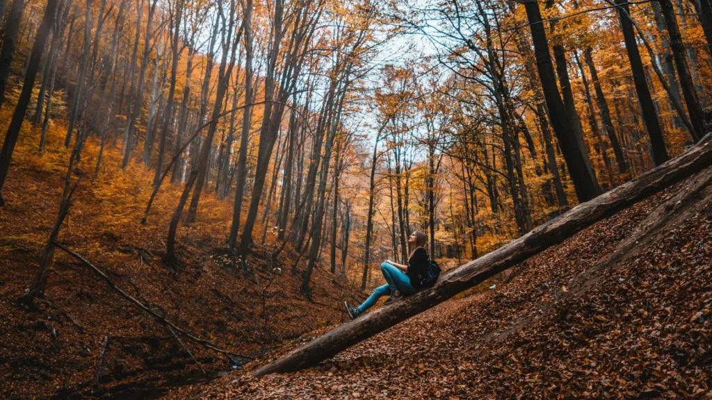 When Autumn Is Cozy But Your Mood Isn’t Fall Depression In Michigan