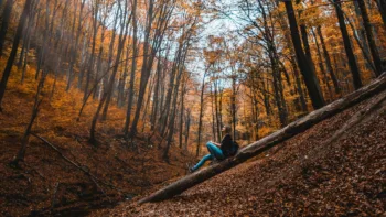 When Autumn Is Cozy But Your Mood Isn’t Fall Depression In Michigan