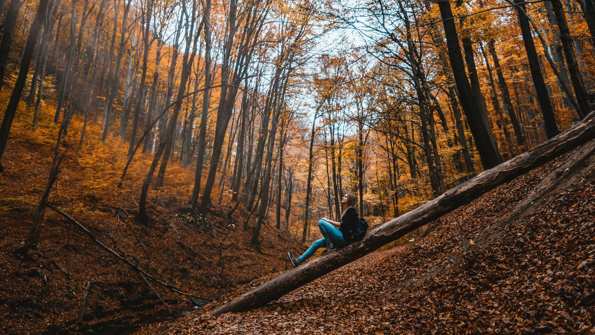 When Autumn Is Cozy But Your Mood Isn’t Fall Depression In Michigan