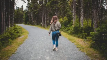 Which Healing Path Is Right For You Ifs Emdr Or Emdr Intensive