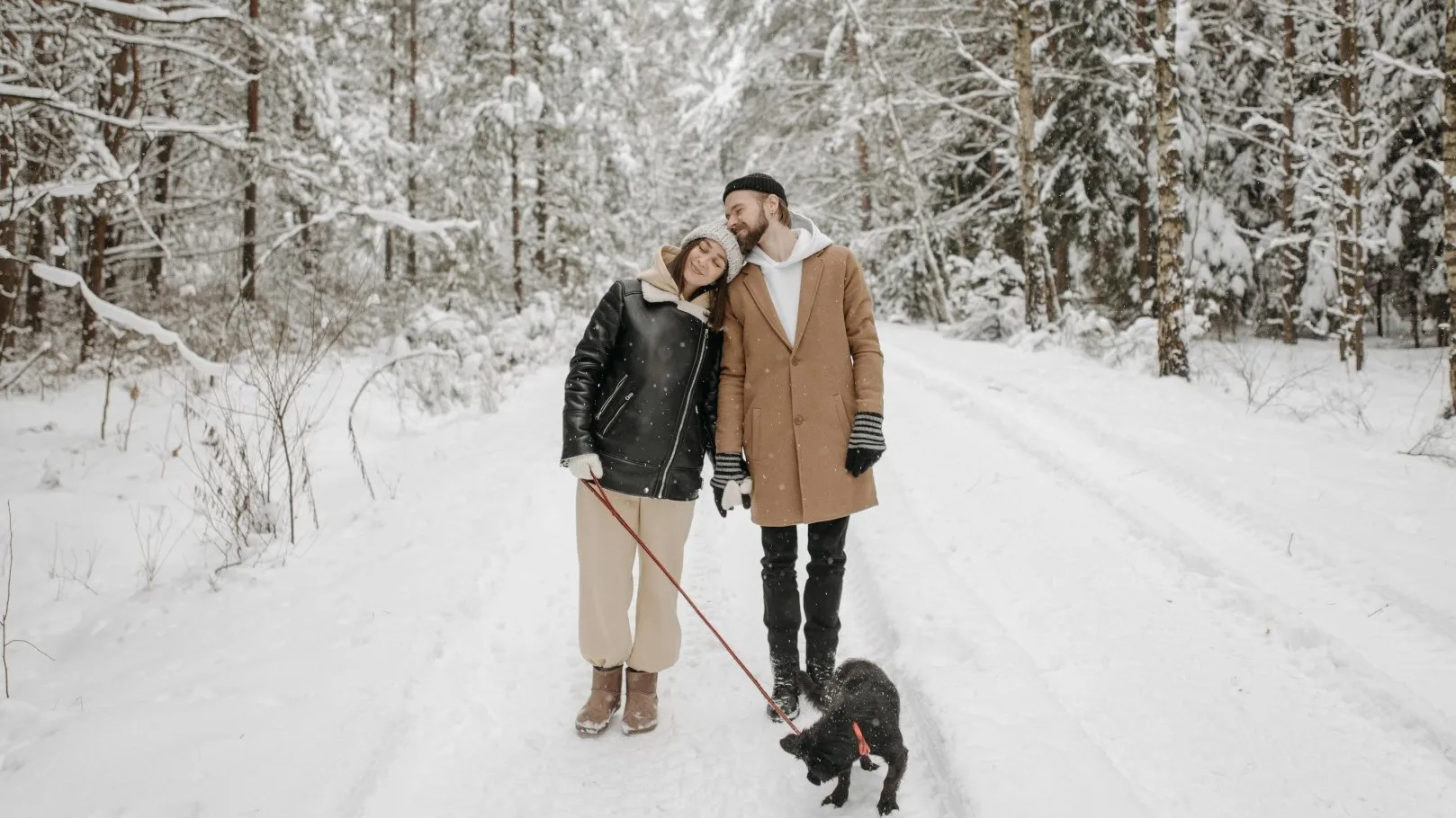 Couple walking a dog in the snow, leaning on each other and enjoying a calm winter moment