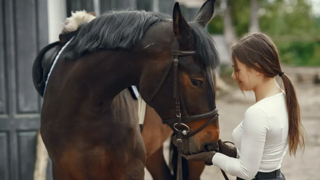 Equine Therapy Bright Spot Counseling Farmington Hills Mi