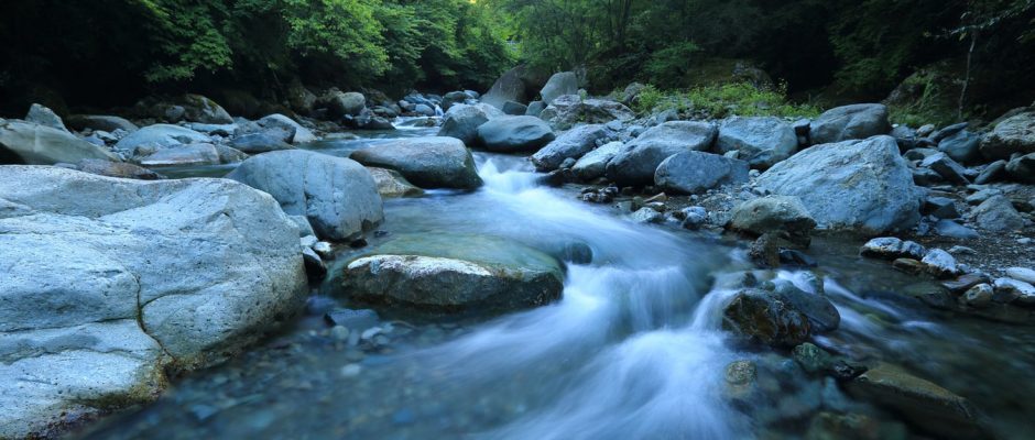 Life On Hold or In Full Swing